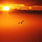 ciel rouge soleil couchant