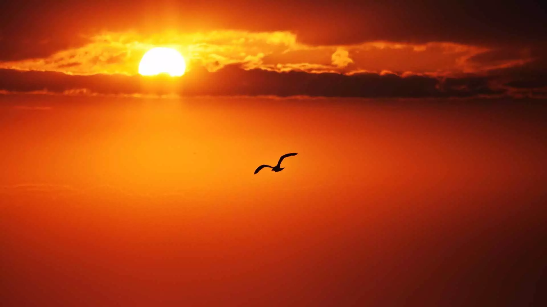 ciel rouge soleil couchant